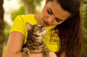 hope StrayCare.gr Αδέσποτη Φροντίδα