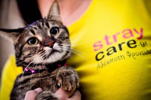 hope StrayCare.gr Αδέσποτη Φροντίδα