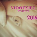StrayCare.gr Αδέσποτη Φροντίδα - Adoptions 2016 - Υιοθεσίες 2016