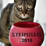 στειρωσεις neuter 2016 StrayCare.gr Αδέσποτη Φροντίδα